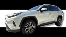 
										Toyota RAV4 G Package full									
