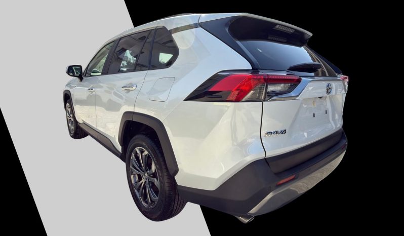 
								Toyota RAV4 G Package full									