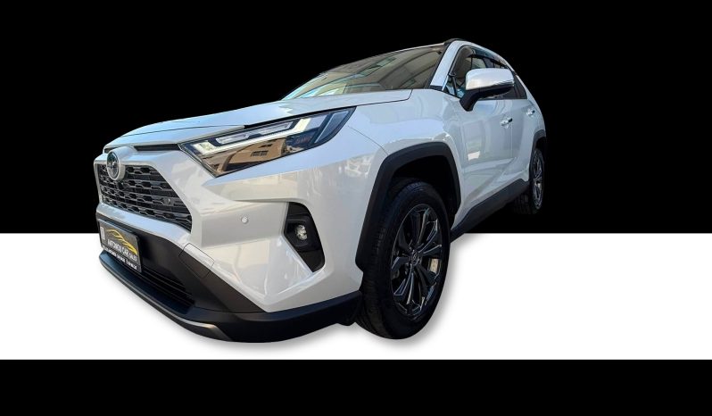 
								Toyota RAV 4 full									