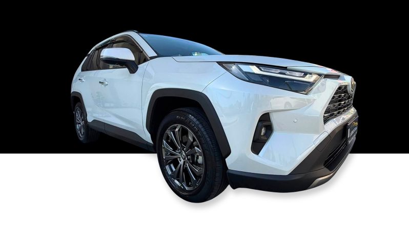 
								Toyota RAV 4 full									