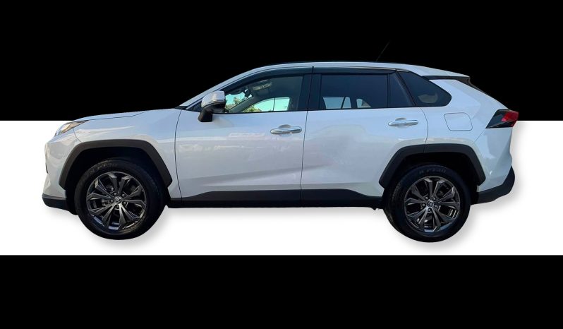 
								Toyota RAV 4 full									